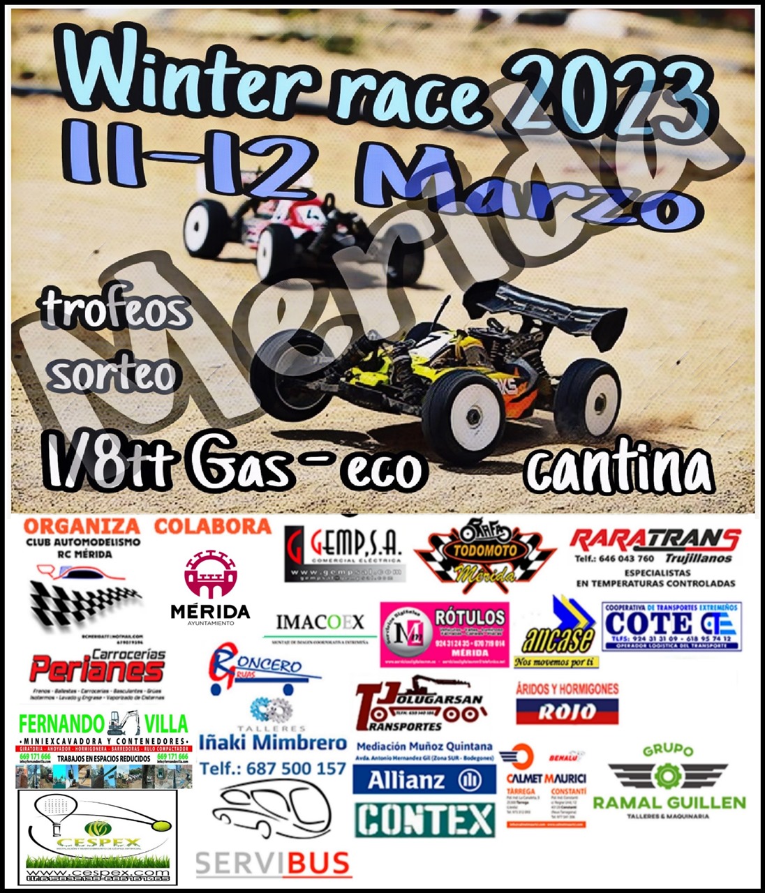 Winter Race Coches RC